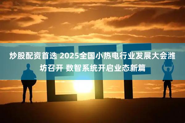 炒股配资首选 2025全国小热电行业发展大会潍坊召开 数智系统开启业态新篇