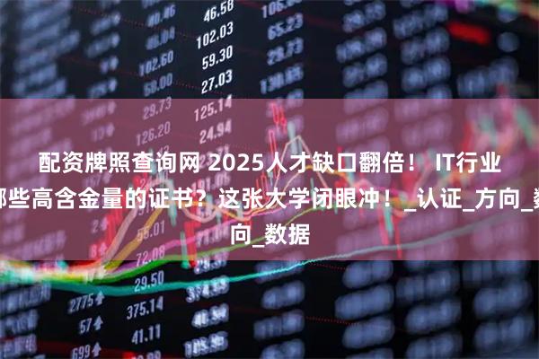 配资牌照查询网 2025人才缺口翻倍！ IT行业有哪些高含金量的证书？这张大学闭眼冲！_认证_方向_数据